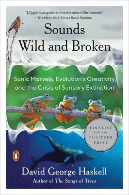 Sounds Wild and Broken: Sonic Marvels, Evolution's Creativity, and the Crisis of Sensory Extinction 1