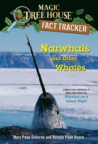 bokomslag Narwhals and Other Whales