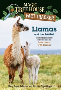 bokomslag Llamas and the Andes