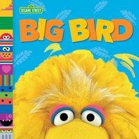bokomslag Big Bird