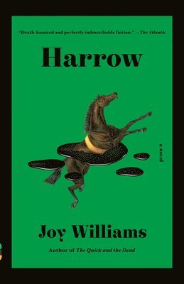 Joy Williams - Harrow: A Novel (Kirkus Prize), Häftad