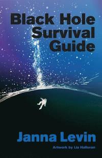 bokomslag Black Hole Survival Guide