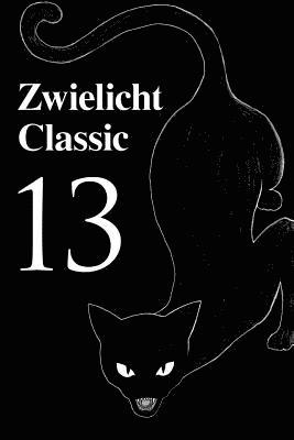 bokomslag Zwielicht Classic 13