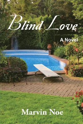 bokomslag Blind Love