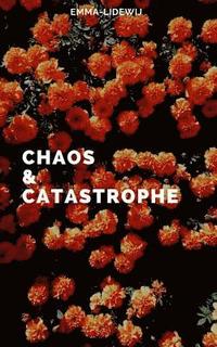 bokomslag Chaos and Catastrophe