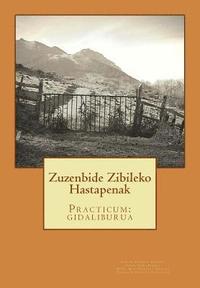 bokomslag Zuzenbide Zibileko Hastapenak: Practicum: gidaliburua