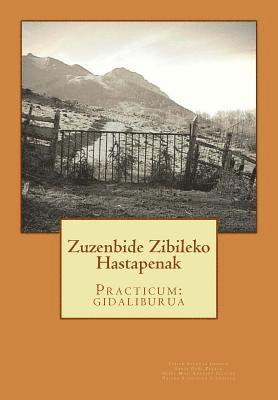 Zuzenbide Zibileko Hastapenak: Practicum: gidaliburua 1