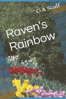 bokomslag Raven's Rainbow