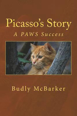 bokomslag Picasso's Story: Another PAWS Success