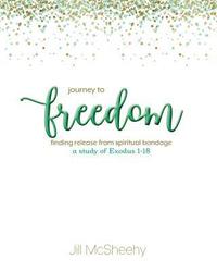 bokomslag Journey to Freedom: Finding Release from Spiritual Bondage - a study of Exodus 1-18