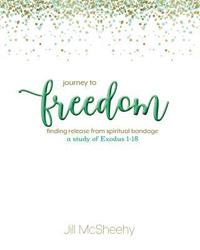 bokomslag Journey to Freedom: Finding Release from Spiritual Bondage - a study of Exodus 1-18