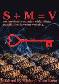 bokomslag S + M = V: An Unsolvable Equation With Infinite Possibilities For Every Variable