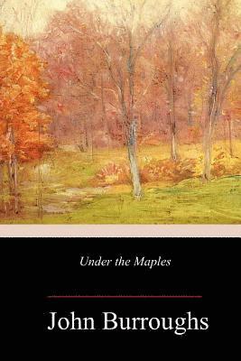 bokomslag Under the Maples