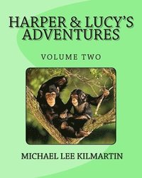 bokomslag Harper & Lucy's Stories And Adventures