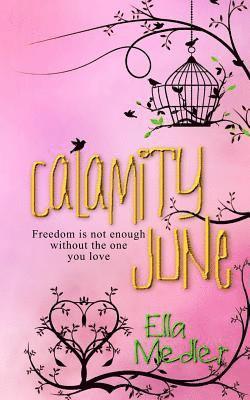 Ella Medler - Calamity June, Häftad