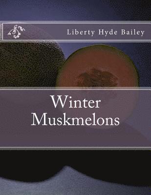 Winter Muskmelons 1