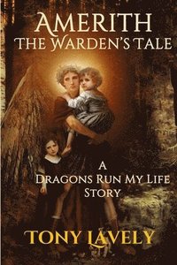 bokomslag Amerith: Dragons Run My Life Story