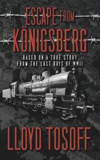 bokomslag Escape from Konigsberg