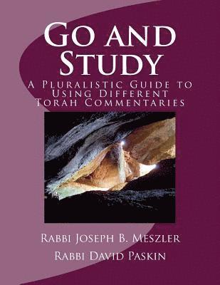 David Paskin, Joseph B. Meszler - Go and Study: A Pluralistic Guide To Using Different Torah Commentaries, Häftad