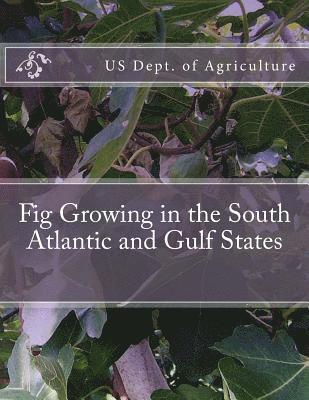 Fig Growing in the South Atlantic and Gulf States 1