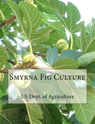 Us Dept of Agriculture - Smyrna Fig Culture, Häftad