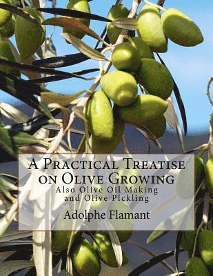 bokomslag A Practical Treatise on Olive Growing: Also Olive Oil Making and Olive Pickling