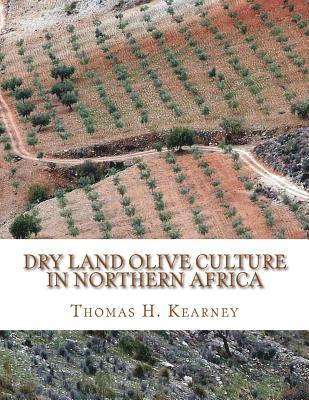 bokomslag Dry Land Olive Culture In Northern Africa