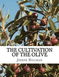 bokomslag The Cultivation of the Olive: A Short Treatise With Special Reference to Fertilization