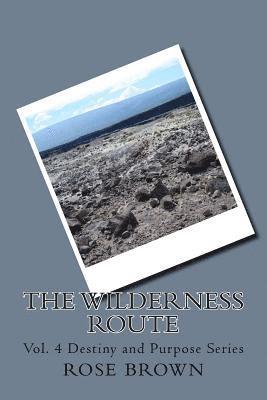 bokomslag The Wilderness Route: Vol. 4 Destiny and Purpose Series