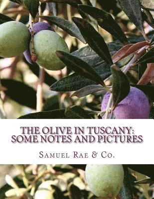 The Olive In Tuscany: Some Notes and Pictures 1