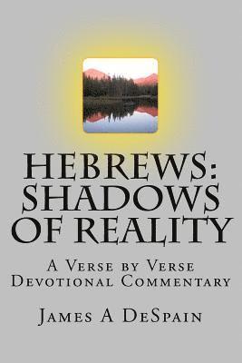 bokomslag Hebrews: Shadows of Reality: A Verse by Verse Devotional Commentary