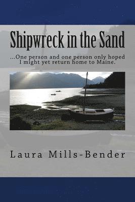 Shipwreck in the Sand 1