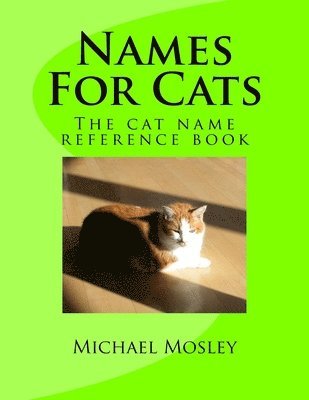 Names For Cats 1