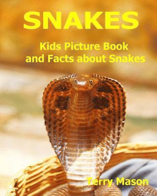 bokomslag Snakes: Kids Picture Book and Facts about Snakes