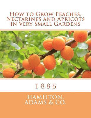 How to Grow Peaches, Nectarines and Apricots in Very Small Gardens: 1886 1