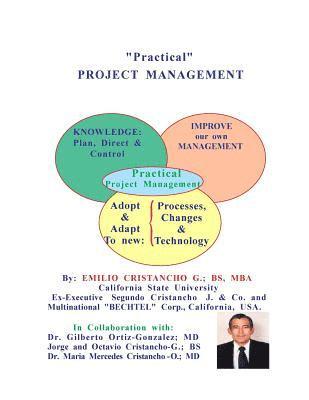 bokomslag 'Practical' PROJECT MANAGEMENT