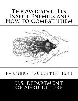 The Avocado: Its Insect Enemies and How to Combat Them: Farmers' Bulletin 1261 1