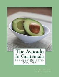 bokomslag The Avocado in Guatemala: Farmers' Bulletin No. 743