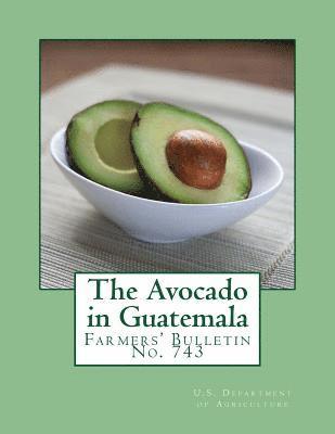 The Avocado in Guatemala: Farmers' Bulletin No. 743 1