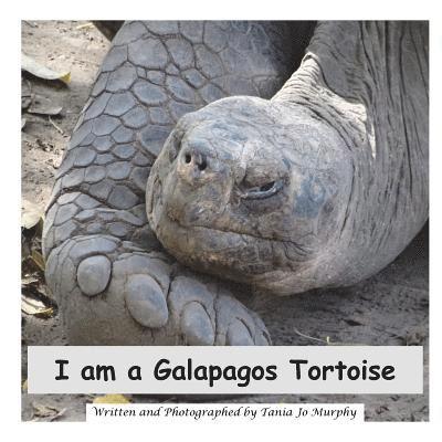 I am a Galapagos Tortoise 1