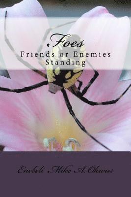 bokomslag Foes: Friends or Enemies Standing