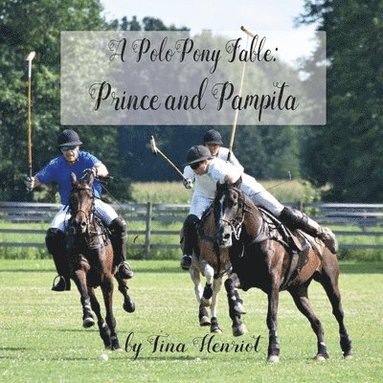 bokomslag A Polo Pony Fable: Prince and Pampita