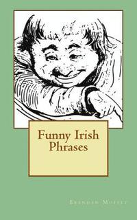 bokomslag Funny Irish Phrases