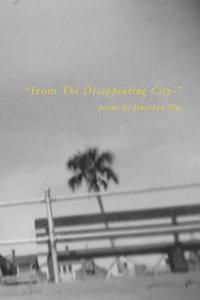 bokomslag 'from The Disappearing City-': poems