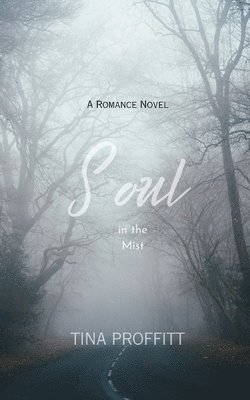 bokomslag Soul in the Mist: A St. Francis Hill Mystery