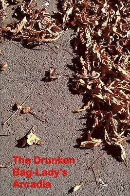 bokomslag The Drunken Bag Lady's Arcadia: Poems 2000 - 2013