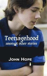 bokomslag Teenagehood, amongst other stories