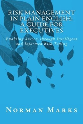 bokomslag Risk Management in Plain English
