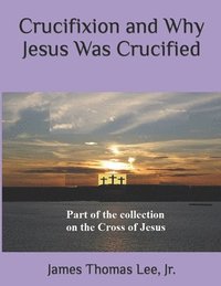 bokomslag Crucifixion and Why Jesus Was Crucified