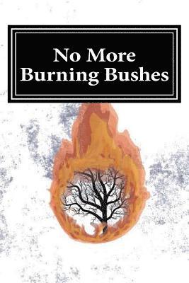 bokomslag No More Burning Bushes: Finding Meaning in the One Time Events of the Bible